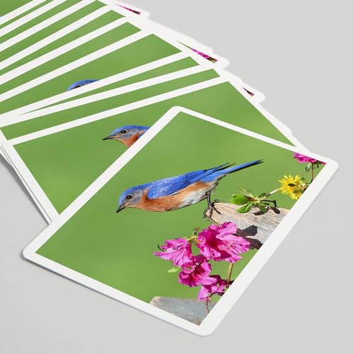 Baraja Eastern Bluebird 52 Cartas Tamaño Póker miniatura 5