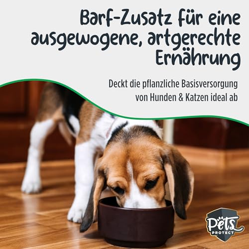 Pets Protect KARTOFFELFLOCKEN für Hunde & Katzen 1 kg | Barf Zusatz in Lebensmittel-Qualität | Deutsche Herstellung | Getreidefrei & glutenfrei | Flocken ohne künstliche Zusätze für Hund