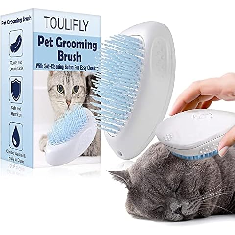 Haselnüsse aus Deutschland - 1.Wahl - Ganze Nüsse für Mensch und Tier! Oder als Nagetierfutter, Tierfutter, Futter für Eichhörnchen Cover