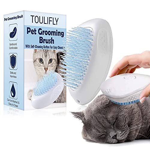 Haselnüsse aus Deutschland - 1.Wahl - Ganze Nüsse für Mensch und Tier! Oder als Nagetierfutter, Tierfutter, Futter für Eichhörnchen, Streifenhörnchen, Nagetiere und Papageien - 3 Kg