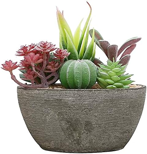 Pulp Simulation Potted Plant Tabletop Assorted Artificial Succulent Plants in Decorative Oval Textured Pulp Pot( 6 Plant) Size B