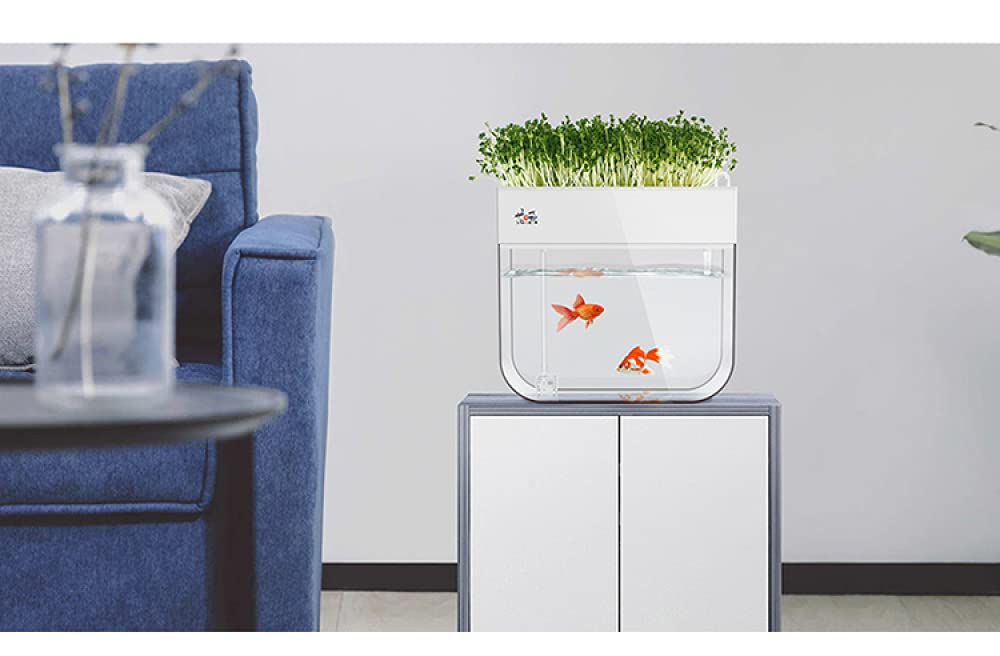 Siqi Małe ekologiczne akwarium, samoczyszczące akwarium, uprawiające żywność, mini ekosystem aquaponic (świetny prezent ogrodowy i projekt rodzinny)