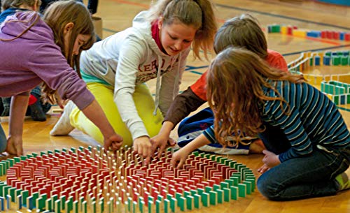 500 Dominos jeu de construction multicolore en bois massif - 3