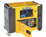 Pro-Lift-Werkzeuge Silent - Generador de corriente de emergencia (5500 W, 230 V, motor diesel de 4 tiempos, refrigerado por aire, generador de corriente de emergencia)