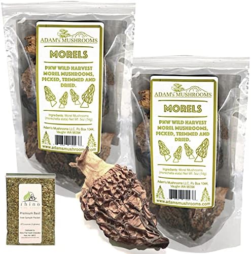 Adam's Mushrooms, Pacific Northwest Wild Morel Mushrooms (Morechella Elata), "Wild Harvest", Dried Mushrooms For Cooking, Picked & Trimmed 0.5 oz (Pack of 2)+Includes-Free Rhino Fine Foods Basil.071oz
