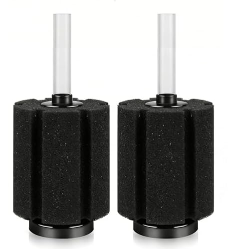 aquarium filters betta