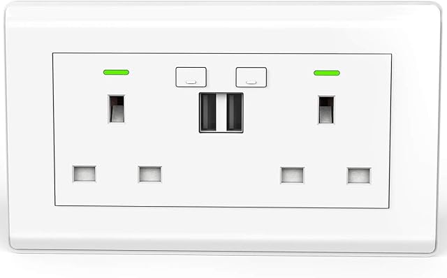 WiFi Double Socket Smart Switched Socket, Smart Life App Control,Timer,Wall Power Socket Work with Alexa/Google Home