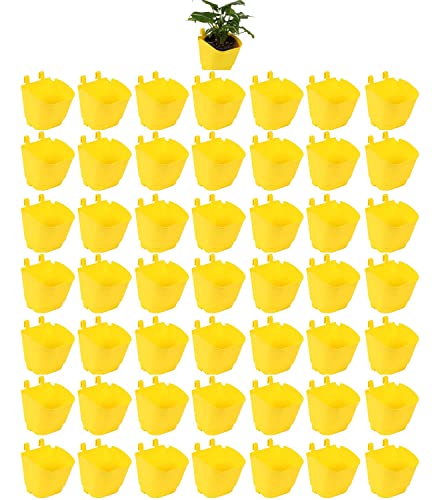 CAPPL Vertical Garden Pot | Wall Hanging Planter (Small, Set of 50, Yellow) for Wall Decoration, Indoor Place, Balcony, Courtyards, Apartments, Home Decoration (B0B3DBRC9Q) Amazon Price History, Amazon Price Tracker