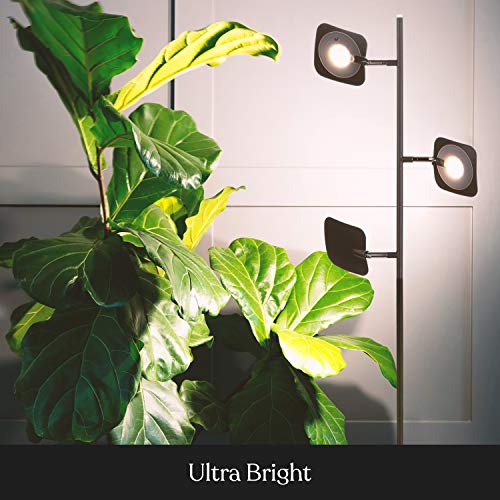 Lámpara de pie LED regulable para manualidades sin fatiga visual Brightech 4