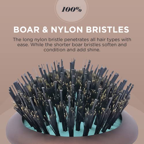 Spornette Ion Fusion Cushion Oval Brush - Boar & Nylon Bristle Mix for Brushing Out, Smoothing, Detangling, Styling and Setting Medium to Long, Thick, Thin or Normal Hair for Men, Women and Children