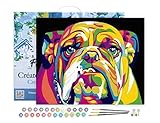 Figured'Art Pintar por Numeros Adultos con marco Bulldog De Color - Manualidades pintura acrilica Kit Cuadro DIY completo - 40x50cm con bastidor montado