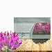 Outsidepride Cleome Violet - 1000 Seeds