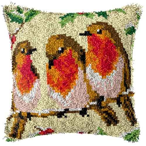 Kit de fabrication de coussin à crochet, cadeau créatif oiseau pour adulte