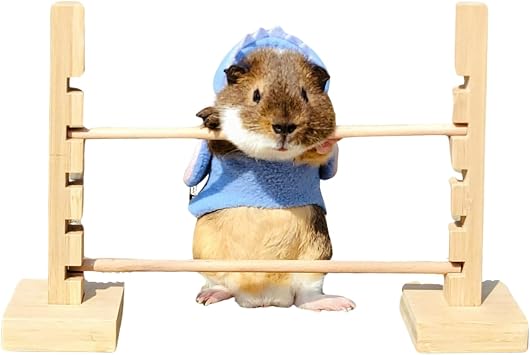Guinea Pig Jump Bar Natural Wood Obstacle Game Activity Toys Set Adjustable Height Training Hurdles Exercise Small Animal Toys for Bunny Dwarf Rabbit Chinchilla Wood