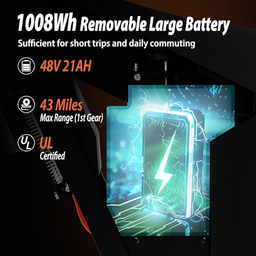 Electric Dirt Bike Teens Adults Electric Bike 48V 21AH Removable Battery with Hydraulic Brakes (21AH Dirt Bike)