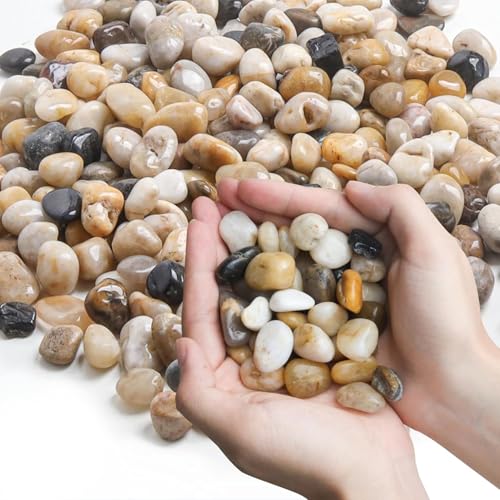 Genérico Piedras Decorativas SilicaSand - 25 kg (0.6-1.5 cm) Grava Decorativa Jardín, Mini Piedras Variadas para Macetas, Relleno de Jarrón, Paisajismo, Acuario, Hogar y Jardín