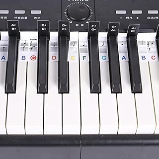 Cyhamse Guide de notes de clavier de piano | 88 touches de piano numérique pour débutants, étiquettes de lettres amovibles pour garçons et filles - Les Beatles, Paul McCartney, John Lennon, RIngo Starr, George Harrison Cyhamse Guide de notes de clavier de piano | 88 touches de piano numérique pour débutants, étiquettes de lettres amovibles pour garçons et filles – Image 2