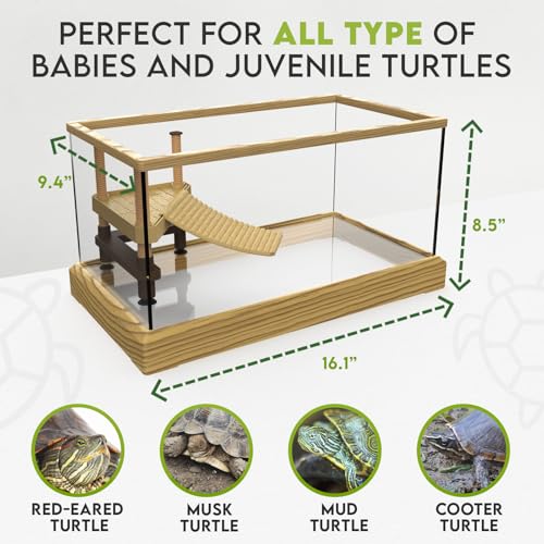 Kit démarrage tortue aquatique complet pour accueillir un bébé reptile