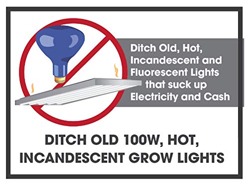 Miracle Led Absolute Daylight Spectrum Grow Lite - Replaces Up To 100W - Full Spectrum Hydroponic Led Plant Growing Light Bulb For Greenhouse, Garden, And Indoor (605088) #TOP3