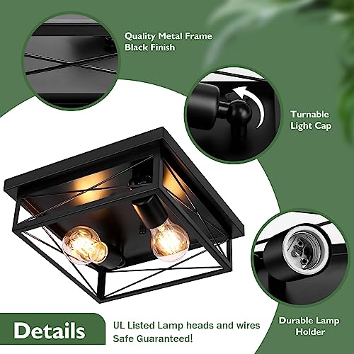 Oneleja Black Rustic Flush Mount Ceiling Light Fixture, 2 Lights Industrial Farmhouse Metal Cage Closed Ceiling Mounted Light Fixtures (E26 Base) For Entryway Hallway Kitchen Bedroom (Single Pack) #TOP3