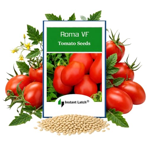 250 Roma VF Tomato Seeds for Planting Non GMO Heirloom Seeds Instant Latch Garden Vegetable Seed