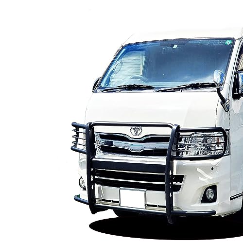 511R9RYVL7L.jpg