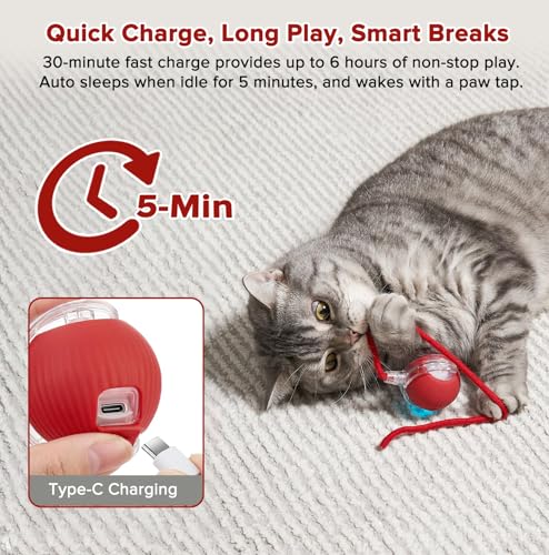 Interactive Cat Toy Ball with Code ZHPNJRQS - $7.78 - Image 6
