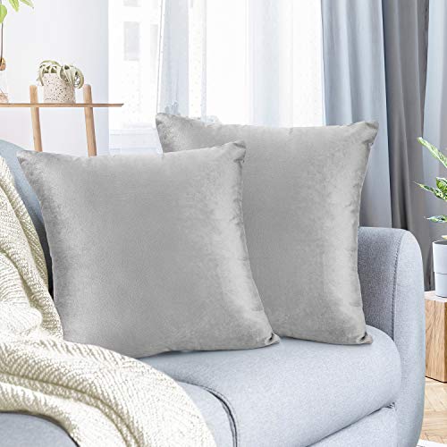Nestl Throw Pillow Covers, Cozy Velvet Decorative Autumn Pillow Covers 22 x 22 Inches, Soft Solid Couch Pillow Covers for Sofa, Bed and Car, Set of 2 - Light Gray
