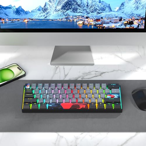 Image of Fogruaden 60% Mechanical Gaming Keyboard, 61 Keys, RGB Backlit, Compact 60 Percent Wired Keyboard for Win /Mac PC Gamer, Easy to Carry on Trip (61Dolch-BlueSwitch-RGB)