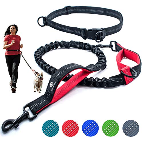 Hands Free Dog Leash for Running, Walking, Hiking,Training, Jogging for Medium and Large