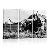 Canvbay 3 Panels Texas Longhorn Canvas Print Black and White Highland Cattle Cow Painting Rustic Wal