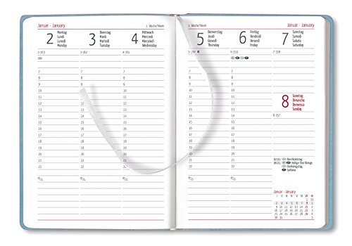 Alpha Edition Ladytimer 170848 Agenda per Anno