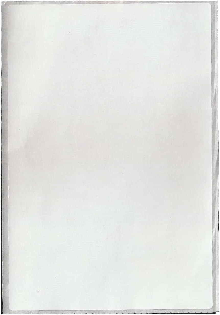 Blank Plain Self Adhesive Paper Sticker Labels Size 4 x 6 inches (100 mm x 150 mm) Qty - 20 PCS