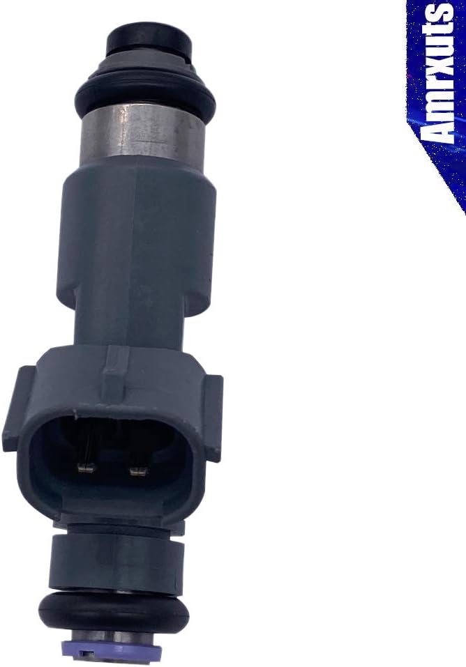 Amrxuts 8pcs 16600-ZH00A 12 Holes Disc Fuel Injectors for Nissan Titan Armada 2004-2008 V8 16600-ZH000, 16600ZH000, FJ752, 16600ZH00A