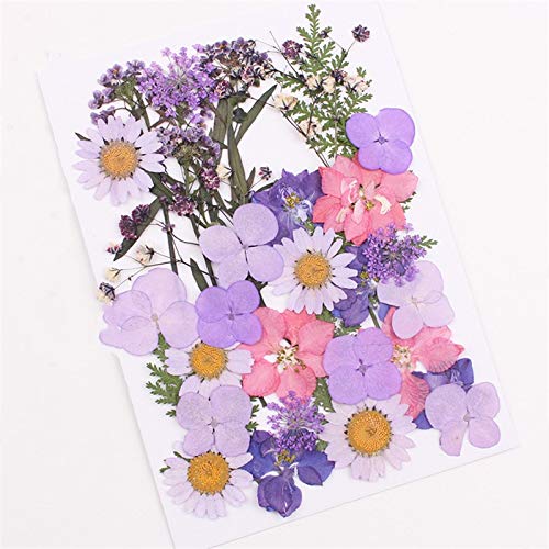Flores secas naturales para manualidades y decoración miniatura 3