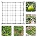 Produktbild Feliciay Wachsen Zelt Netz, 80x80 cm Grow Netz Garten Netz,Gemüseschutznetz mit 4 Haken, Ranknetz für Pflanzenfür Gemüse Früchte Blumen, Pflanze Unterstützung Netz, Elastische Spalier Netz