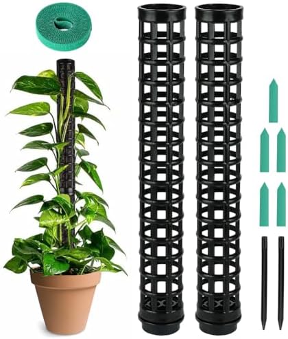 OFFCUP 2pcs Moosstab Pflanzstab mit 12 Etiketten 2 Rollen Klettverschluss | Monstera Rankhilfe, Monstera für Zimmerpflanzen 50cm Gartenbepflanzung Efeutute Pflanzenunterstützung Kl