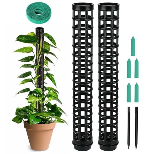 OFFCUP Moosstab Pflanzstab, 2pcs Monstera Rankhilfe, Monstera mit 5 Etiketten und 1 Rollen Klettverschluss, Rankhilfe für Zimmerpflanzen 50cm, für Gartenbepflanzung Efeutute Pflanzenunterstützung