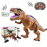 WISHTIME Fernbedienung Dinosaurier ElectricToy Kinder RC Tierspielzeug LED Leuchten Dinosaurier Gehen und Brüllen Realistische T-Rex Roboter Spielzeug Für Kleinkinder Jungen Mädchen