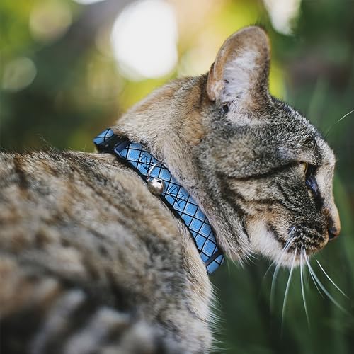 Collar de gato breakaway para mascotas de interior con rejilla de 1.3cm 3