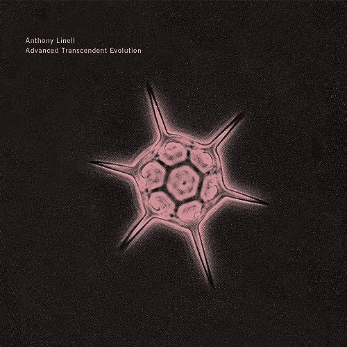 Amazon.co.jp: Advanced Transcendent Evolution : Anthony Linell: デジタルミュージック