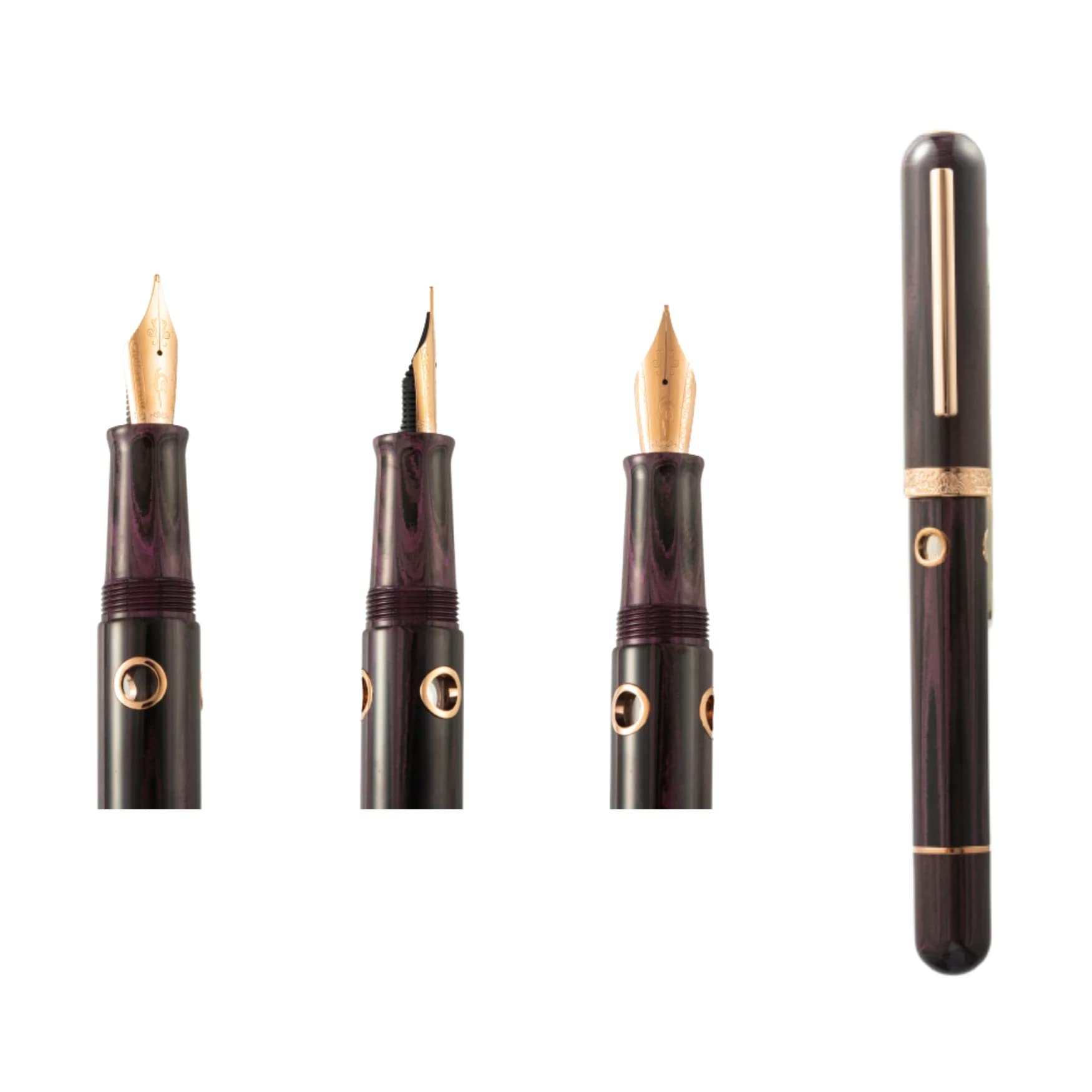 Amazon | Nahvalur Nautilus 万年筆 細字 (0.37mm) Stylophora Berry