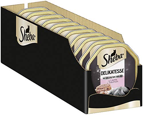 Sheba Schale Nassfutter für Katzen Delikatesse in Gelee mit Lachs 2 x 11 x 85g 4