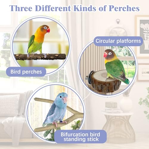 Image of PINVNBY 9 PCS Natural Wood Perches for Birds, Bird Perches for Cage, Wooden Perches Toys Accessories for Parakeet Cockatiel Parrotlets Budgie Conure Lovebirds