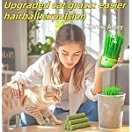 6Pcs Cat Toys Cats Grass Treat for Indoor Cat Edible Grass Kitten Toys Kitty Chew Grass Sticks for Teeth Kitten Snack - Image 6