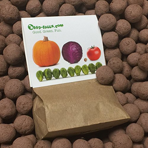 20 Broccoli Seed Balls (De Cicco)- Herb & Vegetable Seed Bombs To Make Gardening Fun And Simple! #TOP5