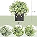 Mkono 3 Pack Small Fake Plants in Black Galvanized Metal Pots Artificial Eucalyptus Plants for Christmas Decorations Shelf Desk Home Farmhouse Room Coffee Table Bathroom Decor