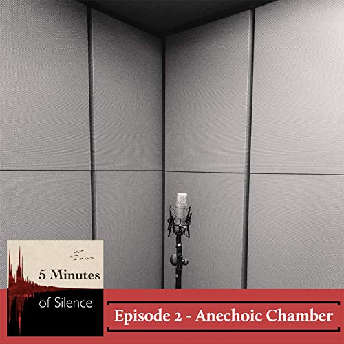 Anechoic Chamber Podcast Por  arte de portada