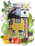 Fischer’s EM-Chiemgau