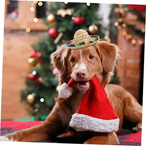 Sombrero Mexicano para Mascotas Pack 3 Piezas miniatura 2